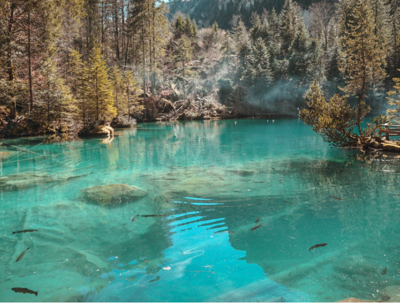 1649653527995294.png 微信截圖_20220401133602.png