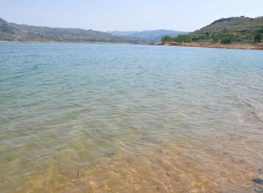 1656384360813356.jpg 20.jpg