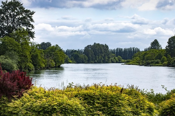 總氮分析儀校準規范.jpg 總氮分析儀校準規范.jpg